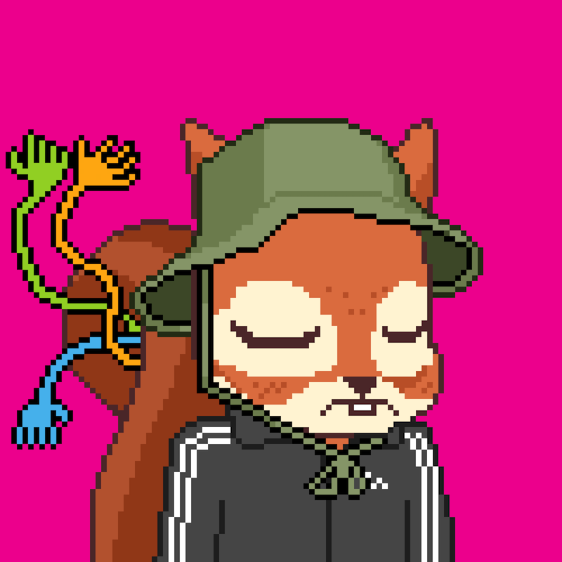 Pixel Squirrels #5864